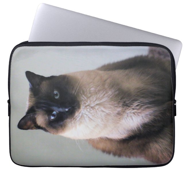 Lily Laptopschutzhülle (Vorderseite)