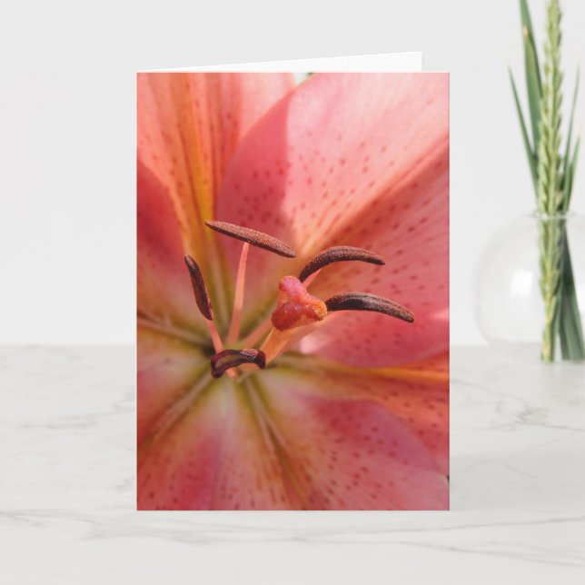 Lily Macro Karte (Vorderseite)