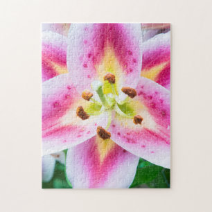 Lily Nah-up Puzzle