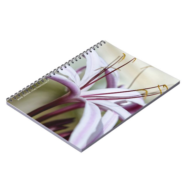 Lily Notizblock (Linke Seite)