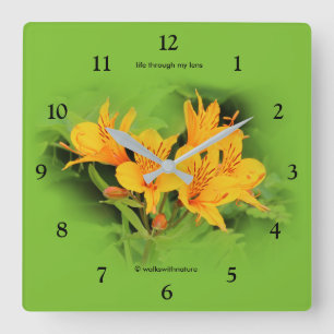 Lily of the Incas / Yellow Alstroemeria Quadratische Wanduhr