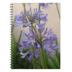Lily of the Nile Blume Notebook Notizblock