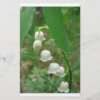Lily-of-the-tal