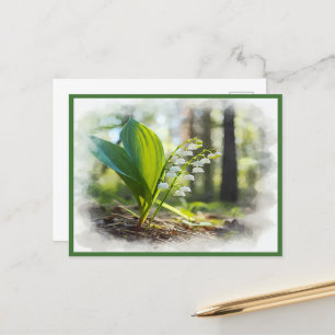 Lily of the tal National Blume Finnland Postkarte
