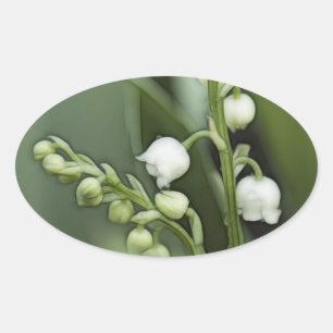 Lily of the Valley Blume Ovaler Aufkleber