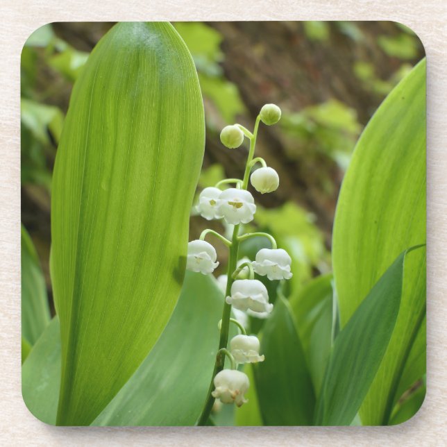 Lily of the Valley Getränkeuntersetzer (Vorderseite)