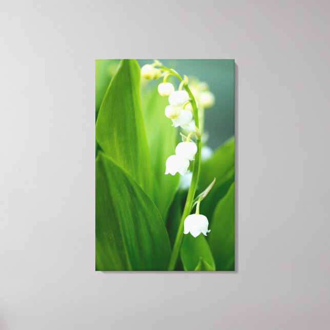 Lily of the Valley Leinwanddruck (Vorderseite)