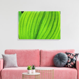 Lily of the Valley Leinwanddruck