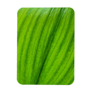 Lily of the Valley Magnet