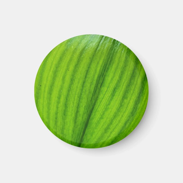 Lily of the Valley Magnet (Vorne)