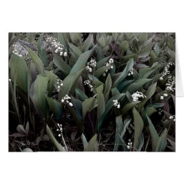 Lily of the Valley Mindscape 1