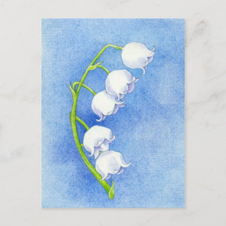 Lily of the Valley Postcard Postkarte