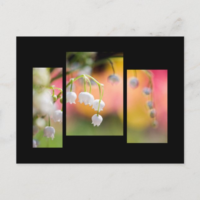 Lily of the valley postcard postkarte (Vorderseite)