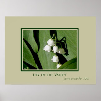Lily of the Valley Poster