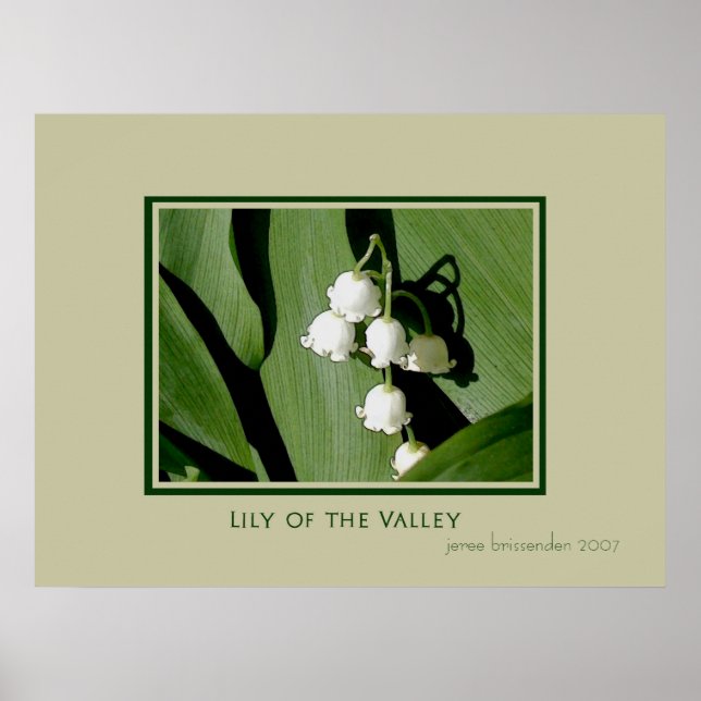 Lily of the Valley Poster (Vorne)