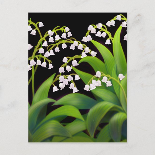 Lily of the Valley Postkarte (Vorderseite)