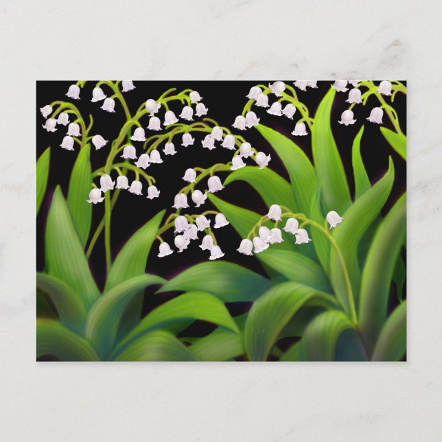 Lily of the Valley Postkarte (Vorderseite)