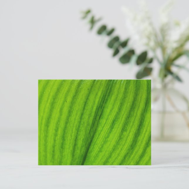 Lily of the Valley Postkarte (Stehend Vorderseite)