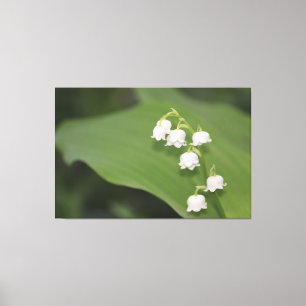 Lily of the Valley Print Leinwanddruck