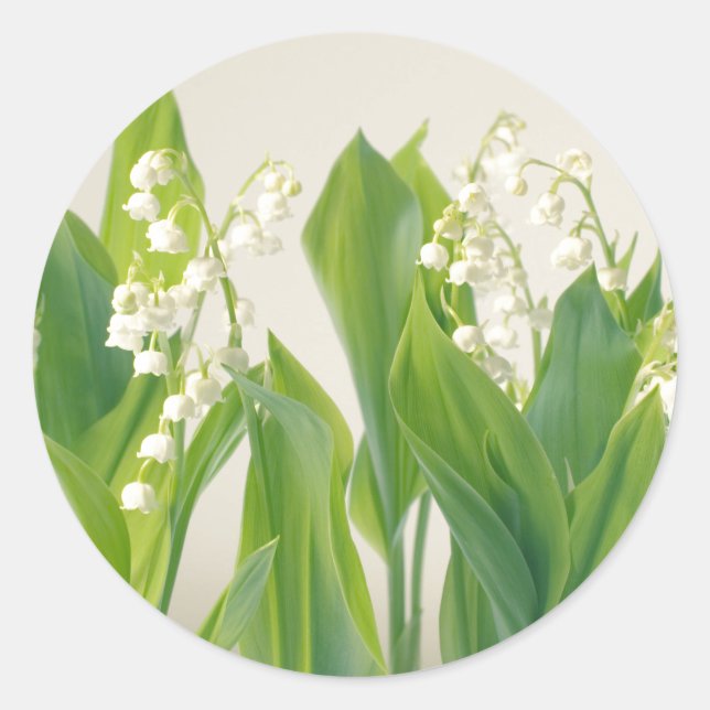Lily of the Valley Runder Aufkleber (Vorderseite)
