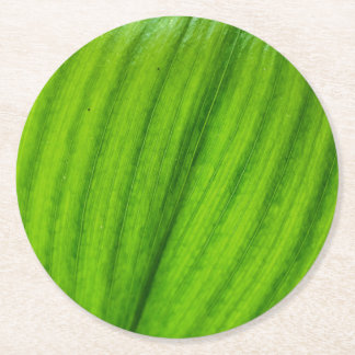 Lily of the Valley Runder Pappuntersetzer