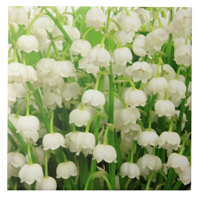 Lily of the Valley Spring Flowers Fliese (Vorderseite)