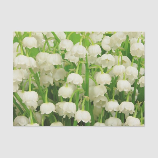 Lily of the Valley Spring Flowers Seidenpapier (Vorderseite)