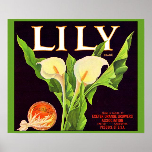 Lily-Orange-Krate-Etikett der 1930er Jahre Poster (Vorne)