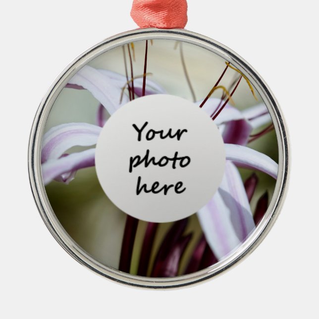 Lily Ornaments Silbernes Ornament (Vorne)