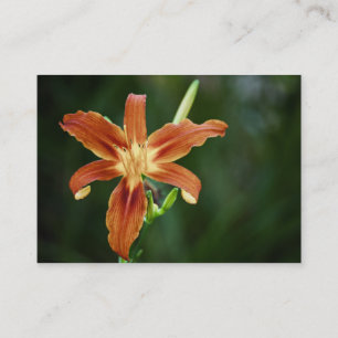Lily P6588 Mini Print Visitenkarte