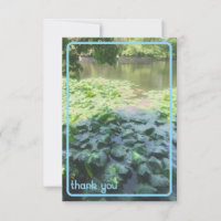 Lily Pad Dankycard