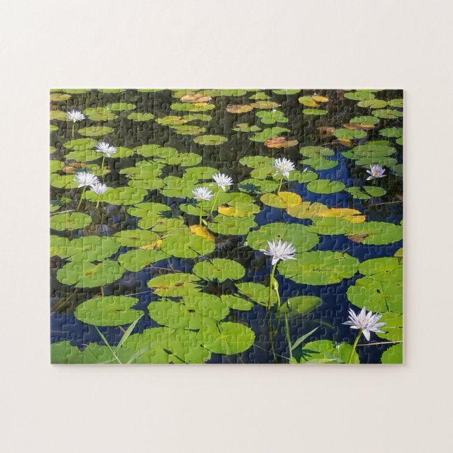 Lily Pad Pond Foto oder Ihr Foto Puzzle (Horizontal)
