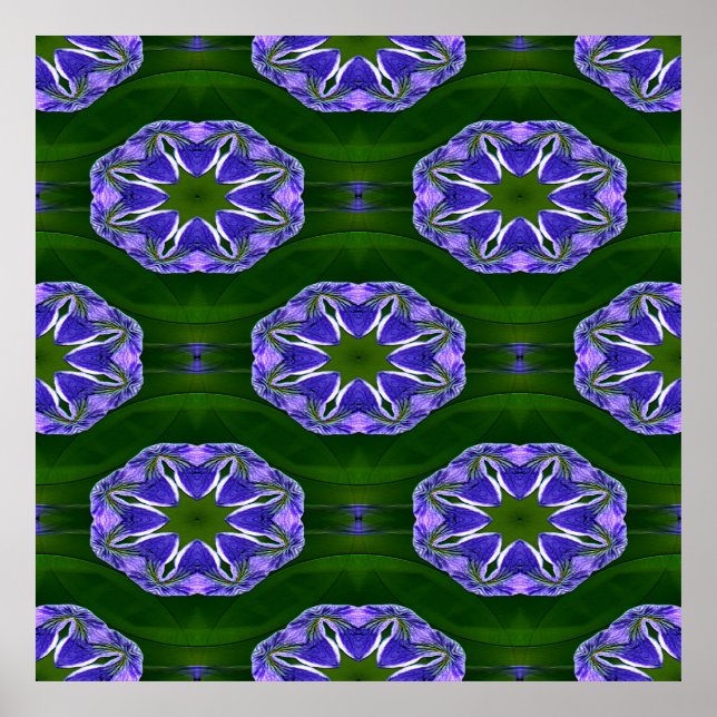 Lily Pad Sterne.... Poster (Vorne)