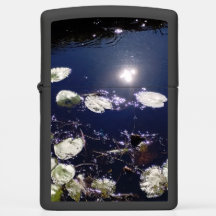 Lily Pad Sun Reflection Fee Magie