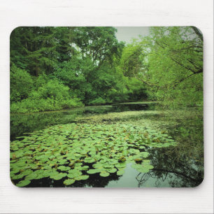 Lily Pads auf dem Teich Mousepad