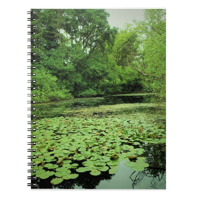 Lily Pads auf dem Teich Notizblock (Vorderseite)