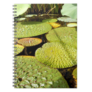 Lily Pads Foto Notebook Notizblock