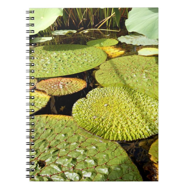 Lily Pads Foto Notebook Notizblock (Vorderseite)