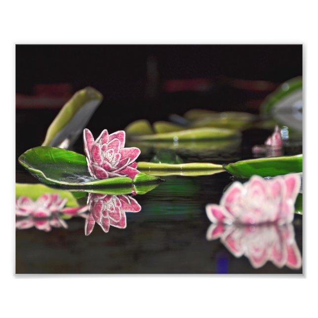 Lily Pads Fotodruck (Vorne)