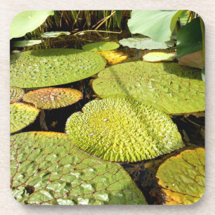 Lily Pads Hard Plastic Untersetzer