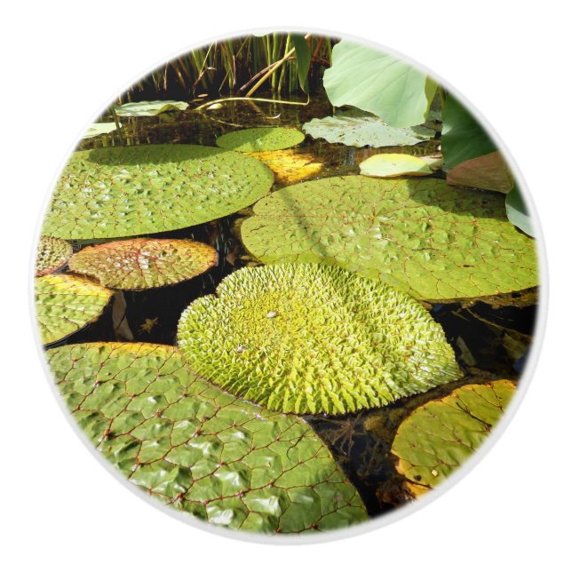 Lily Pads Keramik Knob Keramikknauf (Vorderseite)