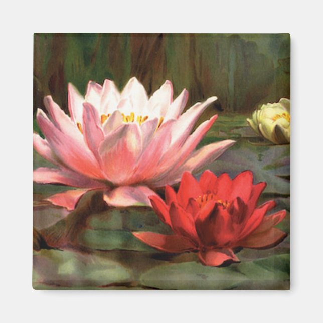 Lily Pads - Magnet (Vorne)
