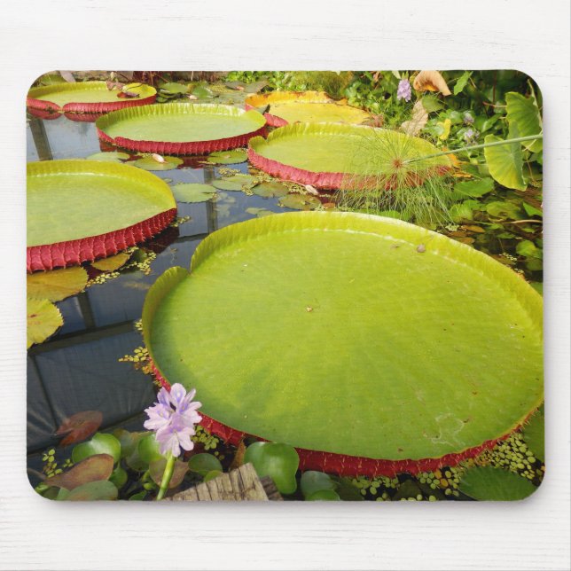 Lily Pads Mouse Mat Mousepad (Vorne)