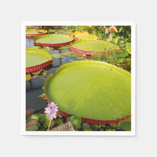 Lily Pads Paper Napkins Serviette (Vorderseite)