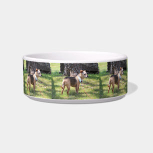 Lily Pet Bowl Napf