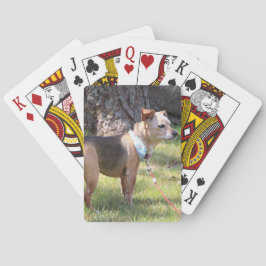 Lily Playing Cards Spielkarten