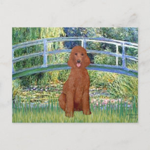 Lily Pond Bridge - Dunkelrot Standard Poodle #1 Postkarte