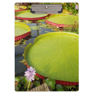 Lily Pond Clipboard Klemmbrett
