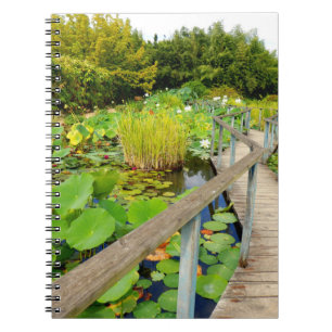 Lily Pond Foto Notebook Notizblock