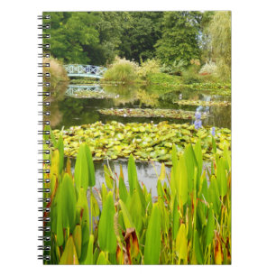 Lily Pond Foto Notebook Notizblock